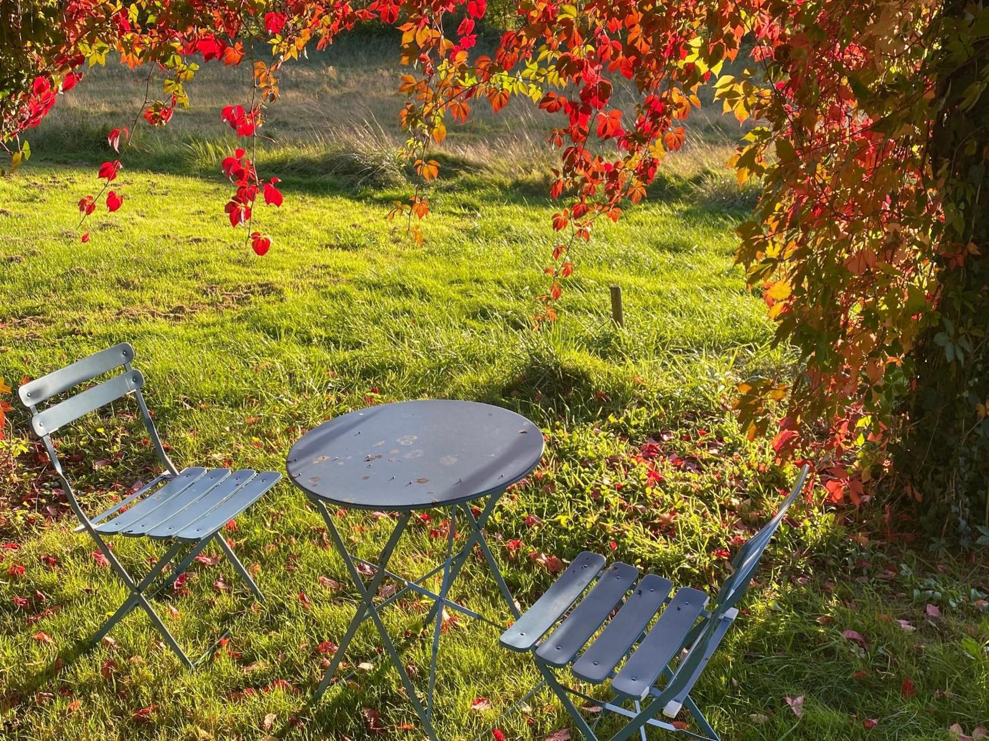 Gite Ecologique De Charme Avec Grand Jardin, Proche Des Alpes Mancelles, Ideal Famille Et Amis - Fr-1-410-132 Moulins-le-Carbonnel Exterior foto